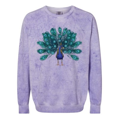 Blue Peacock Print Teal Feathers Bird Lover Men Women Gifts Colorblast Crewneck Sweatshirt