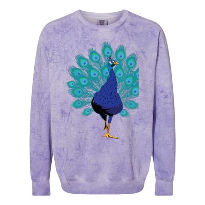 Blue Peacock Print Teal Feathers Bird Lover Gifts Colorblast Crewneck Sweatshirt