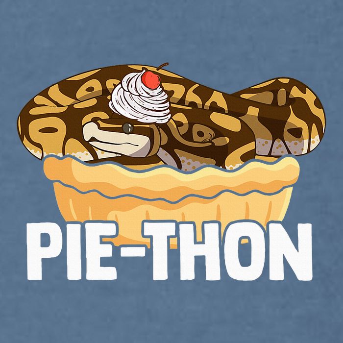 Ball Python Pie Thon Snake Pet Owner Animal Ball Python Garment-Dyed Sweatshirt