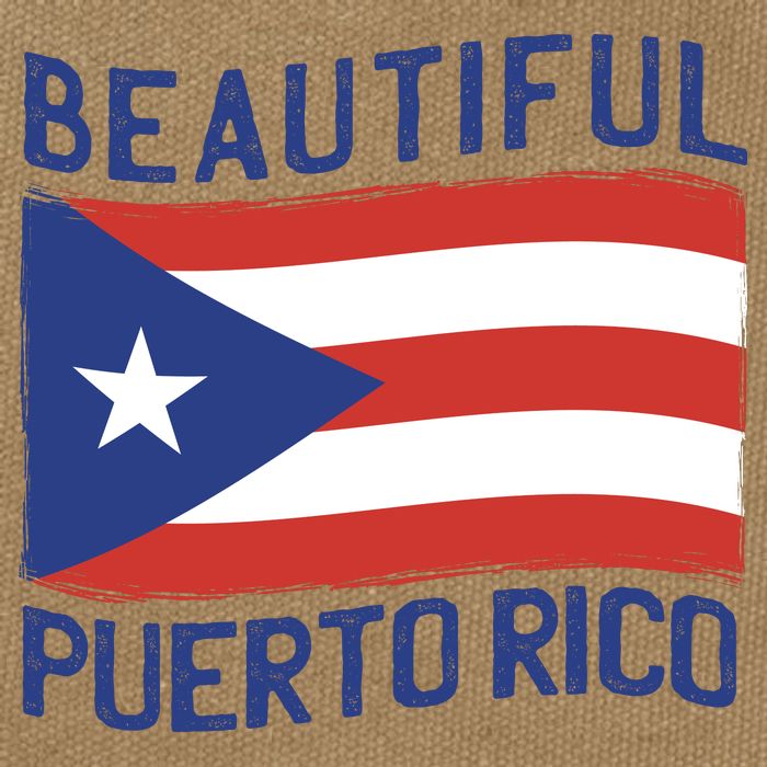 Beautiful Puerto Rico Flag Cotton Canvas Backpack