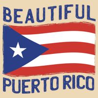 Beautiful Puerto Rico Flag Zip Tote Bag