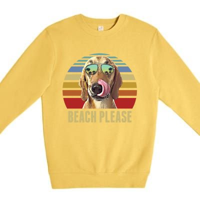 Beach Please Redbone Coonhound Dog Funny Summer Cool Gift Premium Crewneck Sweatshirt