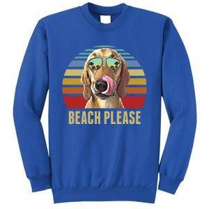 Beach Please Redbone Coonhound Dog Funny Summer Cool Gift Sweatshirt