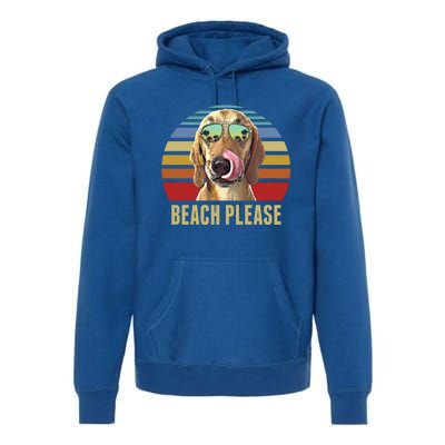 Beach Please Redbone Coonhound Dog Funny Summer Cool Gift Premium Hoodie