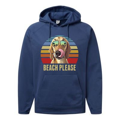 Beach Please Redbone Coonhound Dog Funny Summer Cool Gift Performance Fleece Hoodie