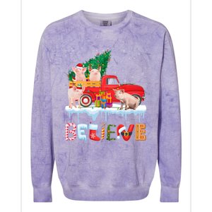 Believe Pig Riding Red Truck Christmas Tree Christmas Pajama Great Gift Colorblast Crewneck Sweatshirt