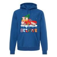 Believe Pig Riding Red Truck Christmas Tree Christmas Pajama Great Gift Premium Hoodie