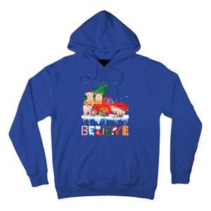 Believe Pig Riding Red Truck Christmas Tree Christmas Pajama Great Gift Tall Hoodie