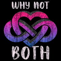 Bisexual Polyamory Symbol Why Not Both Bi Pride Button