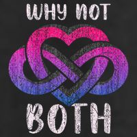 Bisexual Polyamory Symbol Why Not Both Bi Pride Beanie
