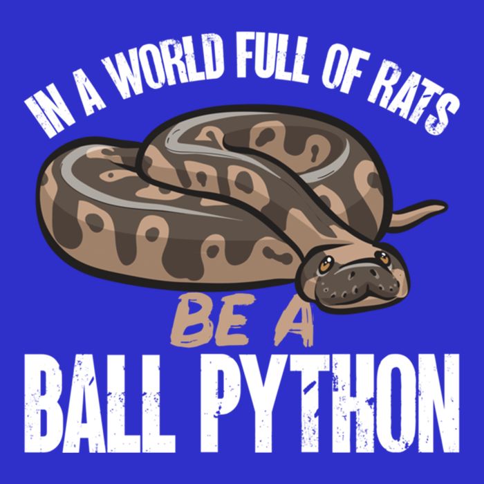 Ball Python Snake Be A Ball Python Cute Gift Poster