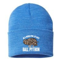 Ball Python Snake Be A Ball Python Cute Gift Sustainable Knit Beanie