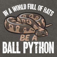 Ball Python Snake Be A Ball Python Cute Gift Cotton Canvas Backpack