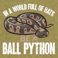 Ball Python Snake Be A Ball Python Cute Gift Garment-Dyed Women's Muscle Tee