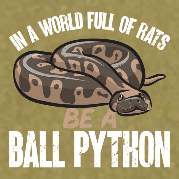 Ball Python Snake Be A Ball Python Cute Gift Garment-Dyed Women's Muscle Tee