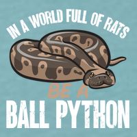 Ball Python Snake Be A Ball Python Cute Gift Sueded Cloud Jersey T-Shirt