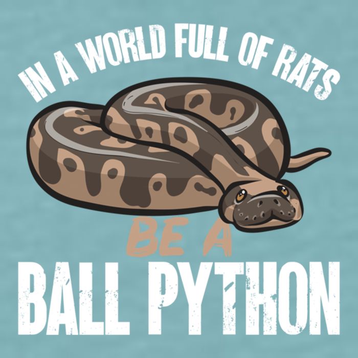 Ball Python Snake Be A Ball Python Cute Gift Sueded Cloud Jersey T-Shirt