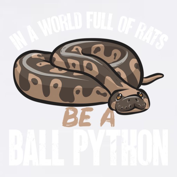 Ball Python Snake Be A Ball Python Cute Gift Garment-Dyed Sweatshirt