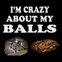 Ball Python Snake Baby Ball Python Breeders USA-Made Doggie Bandana