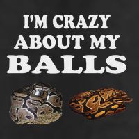 Ball Python Snake Baby Ball Python Breeders Knit Cap Winter Beanie