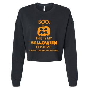 Boo Pumpkin Sarcastic Funny Halloween Costume Cropped Pullover Crew