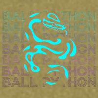 Ball Python Snake Retro Ball Python Garment-Dyed Women's Muscle Tee