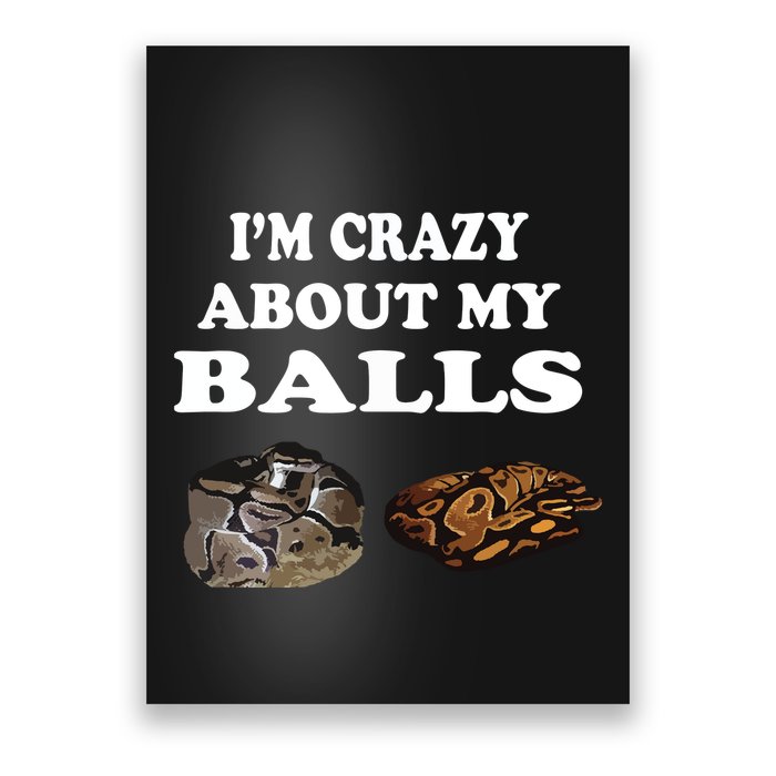 Ball Python Snake T T Baby Ball Python Breeders Poster
