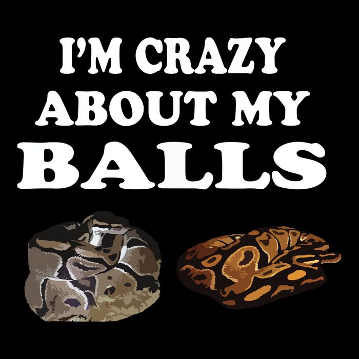 Ball Python Snake T T Baby Ball Python Breeders Tall Sweatshirt