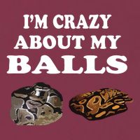 Ball Python Snake T T Baby Ball Python Breeders 16oz Travel Tumbler