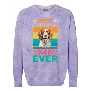 Best Pembroke Welsh Corgi Mom Ever Dog Lover Mom Gift Colorblast Crewneck Sweatshirt