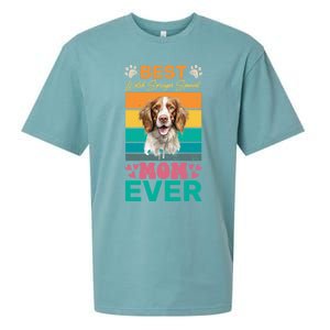 Best Pembroke Welsh Corgi Mom Ever Dog Lover Mom Gift Sueded Cloud Jersey T-Shirt