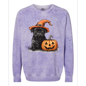 Black Pug With Witch Hat And Pumpkin Halloween Pug Mom Dog Cool Gift Colorblast Crewneck Sweatshirt