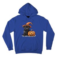 Black Pug With Witch Hat And Pumpkin Halloween Pug Mom Dog Cool Gift Hoodie