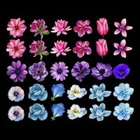 Bisexual Pride Wildflower Bi Lgbt Month Floral Rainbow Women's V-Neck T-Shirt