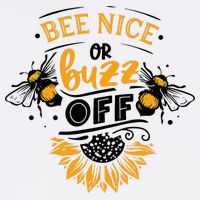 Beekeeper Quote Honey Bee Quote Bee Nice Or Buzz Off Womens T-Shirt