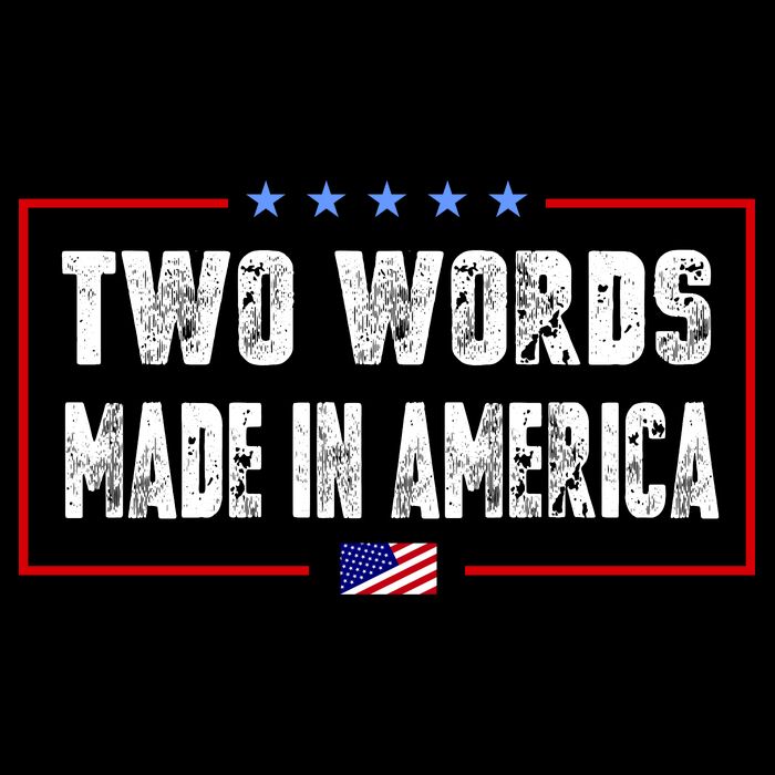 BIDEN QUOTE Two Words, Made In America T-Shirt