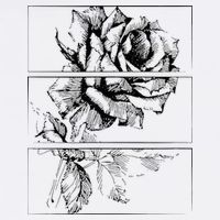 Black Roses Aesthetic Clothing Soft Grunge Clothes Goth Punk Kids T-Shirt