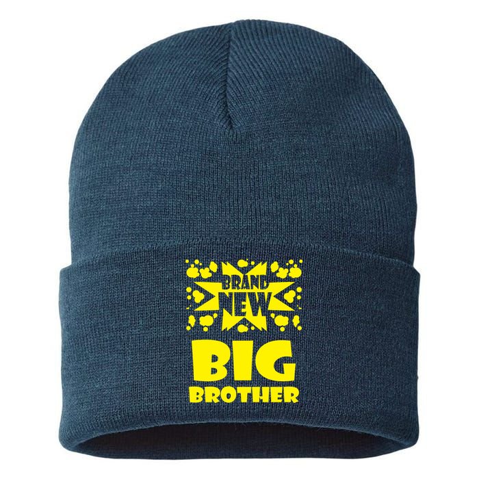 Brand New Big Brother Sustainable Knit Beanie