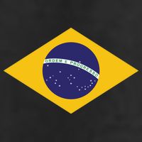 Brazil National Flag 11oz C Handle Ceramic Mug
