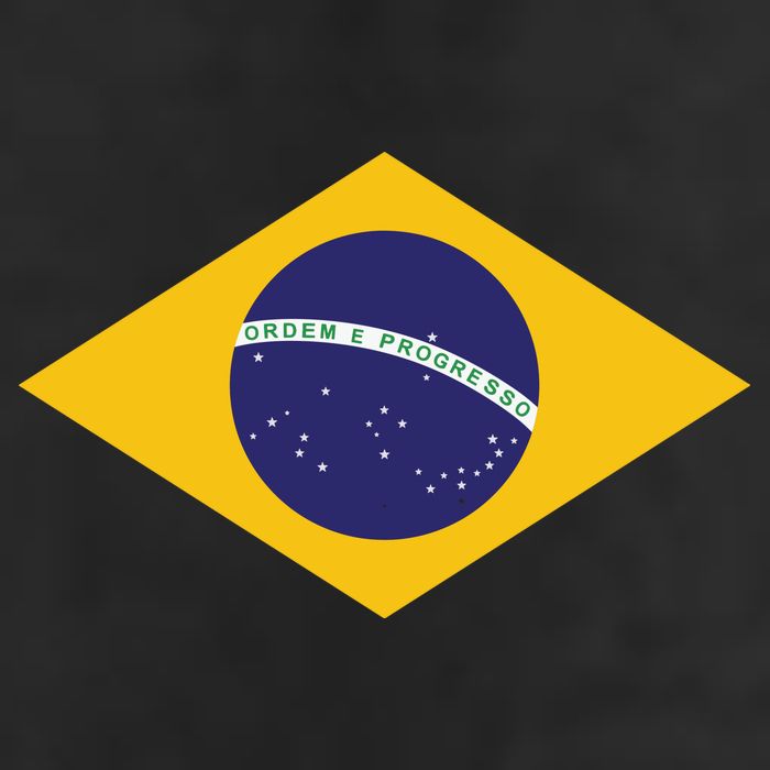 Brazil National Flag 11oz C Handle Ceramic Mug