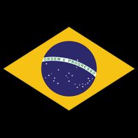 Brazil National Flag Zip Tote Bag