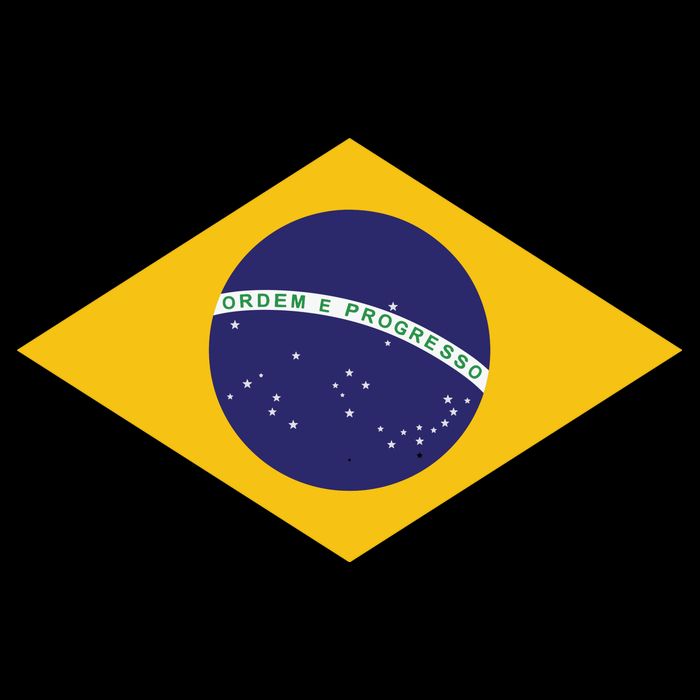 Brazil National Flag Zip Tote Bag