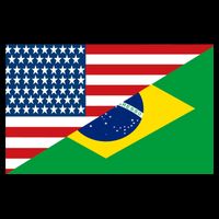 Brazil USA American Flag Ladies Essential Flowy Tank