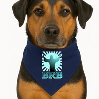 BRB Jesus Be Right Back USA-Made Doggie Bandana