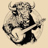 Buffalo Retro Bison Animal Playing Banjo Music Graphic Zip Tote Bag