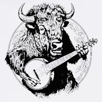 Buffalo Retro Bison Animal Playing Banjo Music Graphic T-Shirt