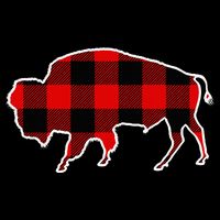 Buffalo Red Buffalo Plaid Tamaraw Matching Pj Family Gift Backpack