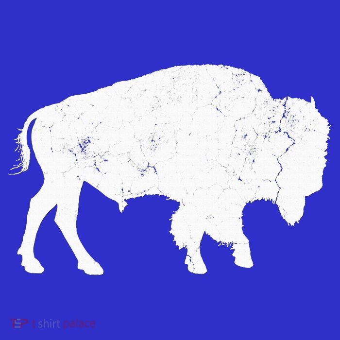 Buffalo Retro Bison Animal Lover Kids T-Shirt