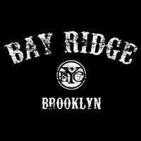 Bay Ridge Brooklyn New York Impact Tech Backpack