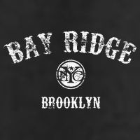 Bay Ridge Brooklyn New York Adult Drive Performance Visor
